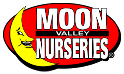 moon-valley